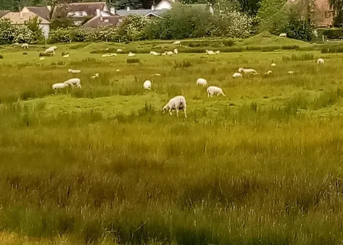 住宿加早餐酒店 Chez Gigi *