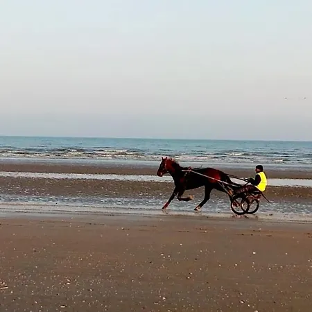 Chez Gigi * Merville-Franceville-Plage