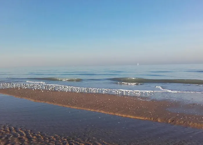 Chez Gigi Couette-café Merville-Franceville-Plage