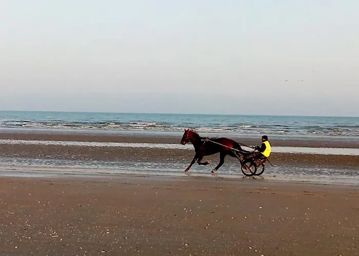 Chez Gigi * Merville-Franceville-Plage