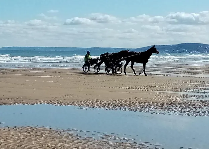 Couette-café Chez Gigi *